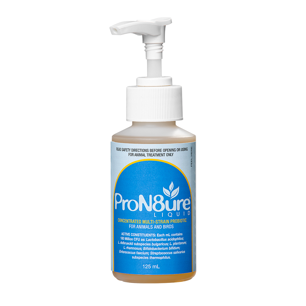ProN8ure-Liquid  Horse Probiotic Liquid in 250ml Bottle