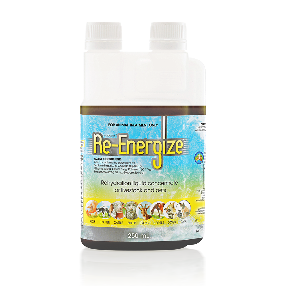 Re-Energize - Livestock & Pet Re-hydration in 250ml Liquid Container