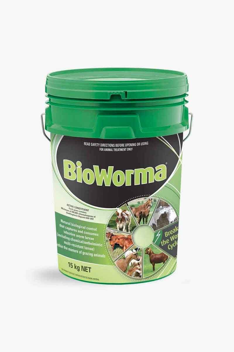 BioWorma