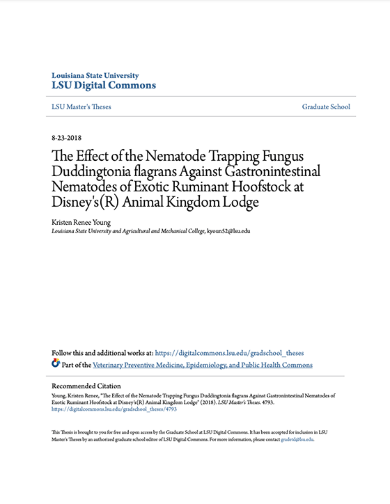 The Effect of the Nematode Trapping Fungus Duddingtonia flagrans Against Gastrointestinal Nematodes of Exotic Ruminant Hoofstock at Disney's® Animal Kingdom Lodge