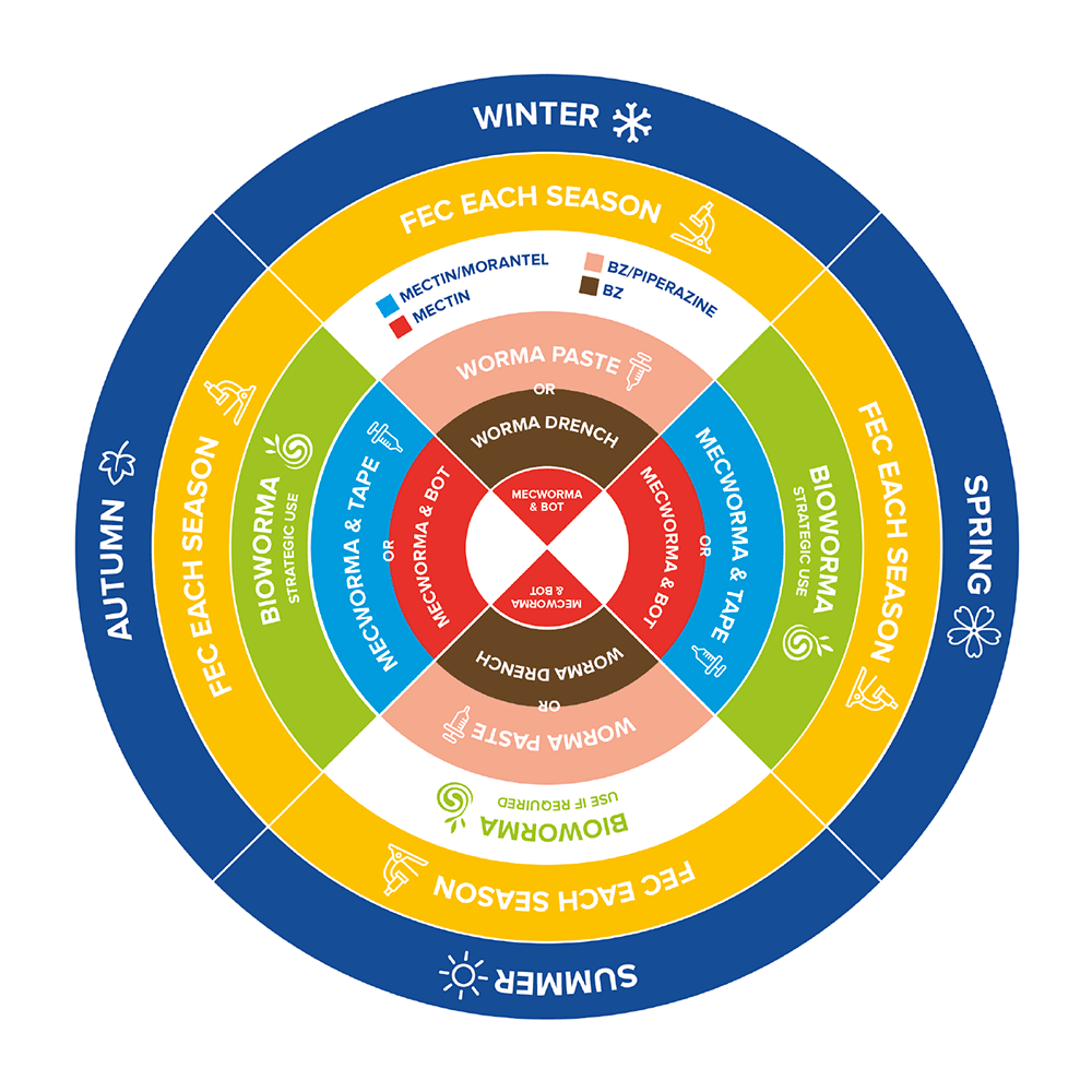 Seasonal Worming Wheel