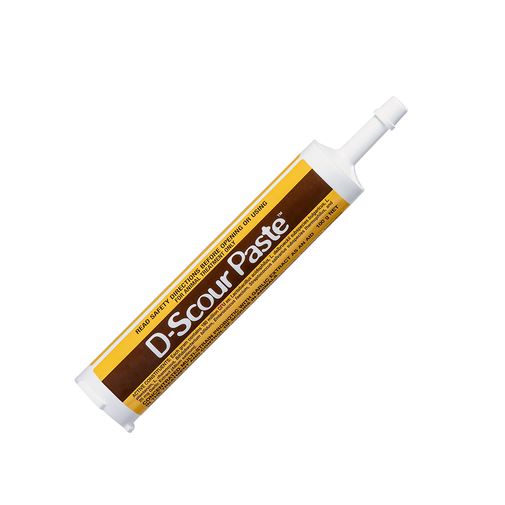 D-Scour-Paste Scour Treatment Product 100gm 