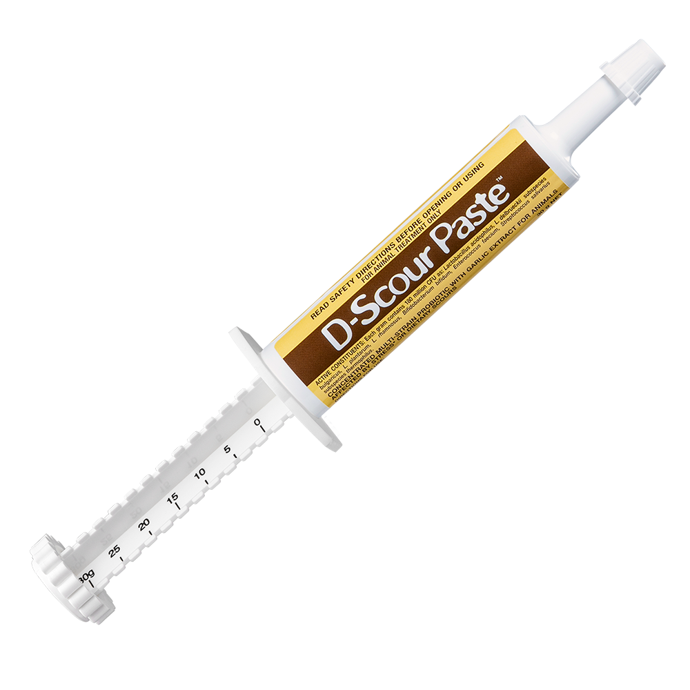 D-Scour-Paste Scour Treatment Product in 30g Syringe