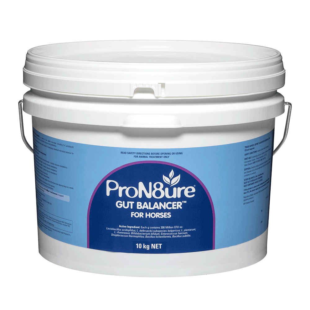 ProN8ure (Protexin), Gut Health Horse Probiotics 10kg White Container with Blue Label
