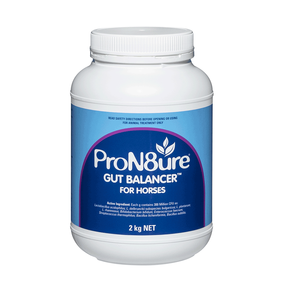 ProN8ure (Protexin), Gut Health Horse Probiotics 2kg White Container with Blue Label