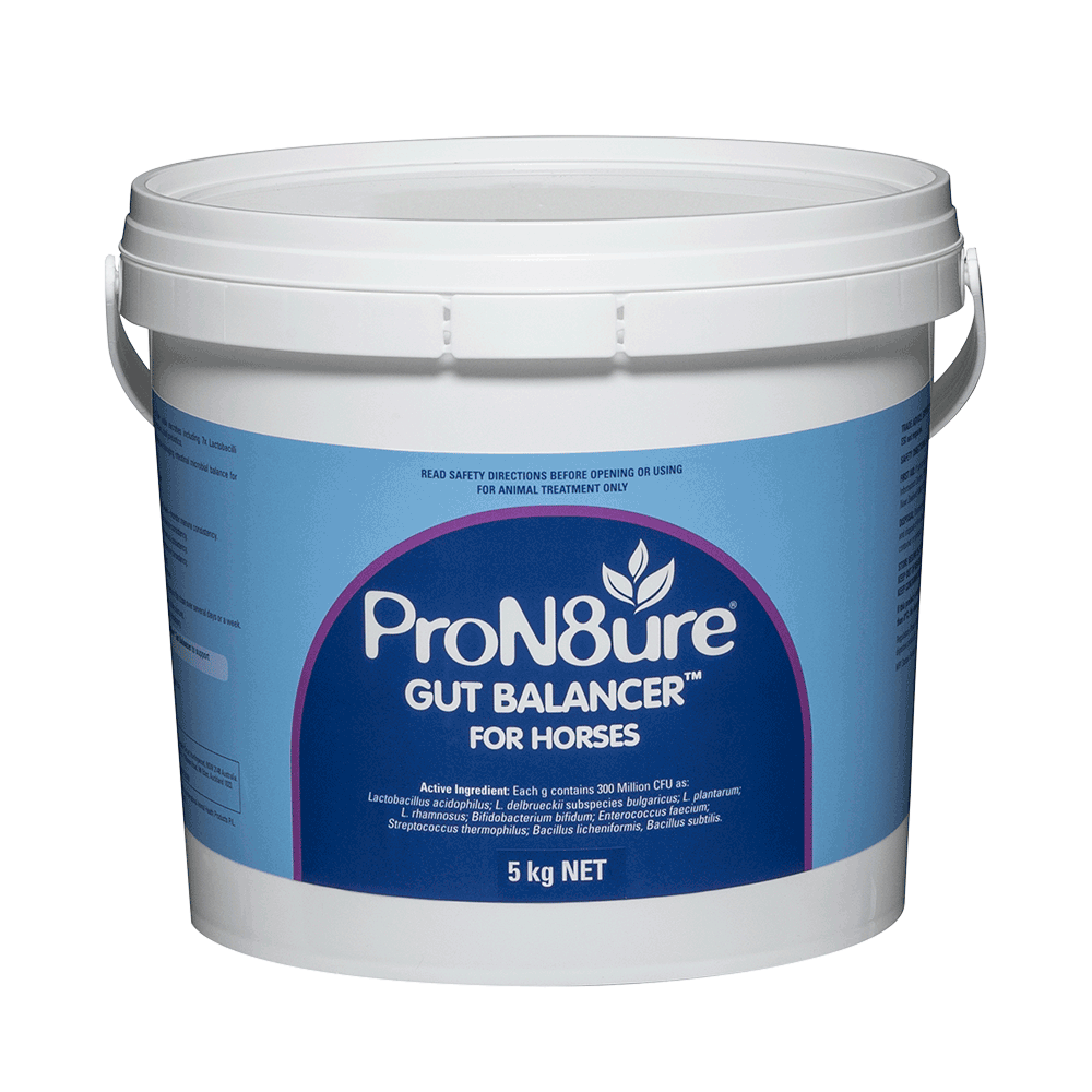 ProN8ure (Protexin), Gut Health Horse Probiotics 5kg White Container with Blue Label