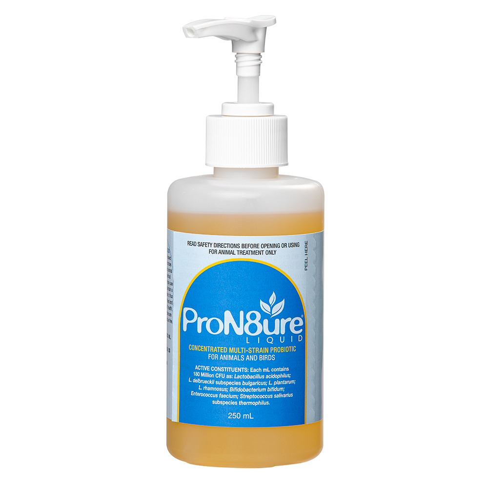 ProN8ure-Liquid  Horse Probiotic Liquid in 125ml Bottle