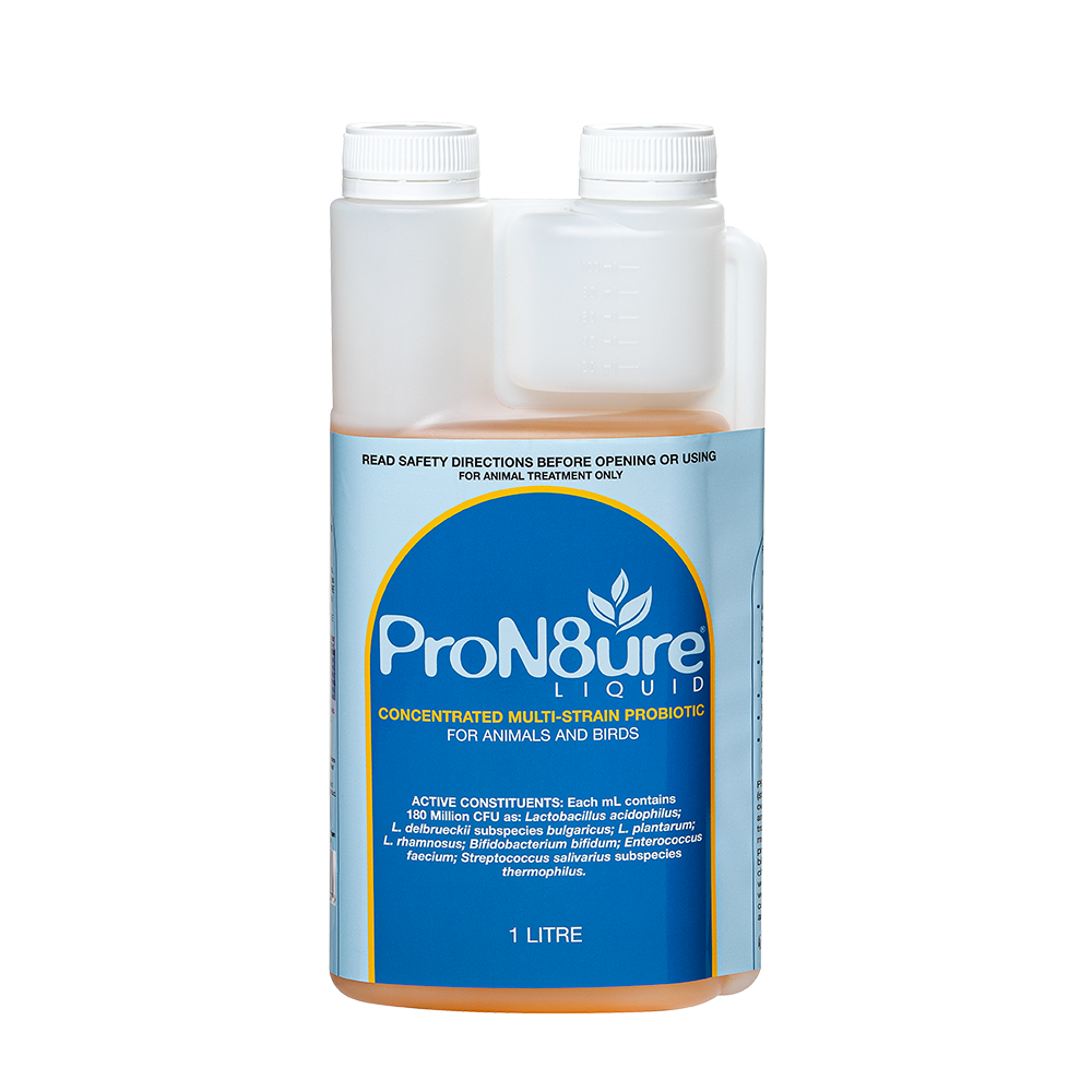 ProN8ure-Liquid  Horse Probiotic Liquid in 1L Bottle