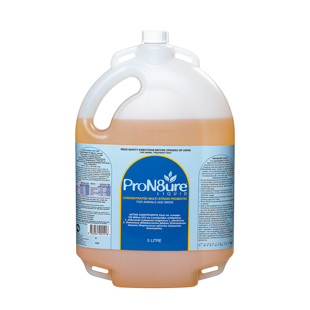 ProN8ure-Liquid  Horse Probiotic Liquid in 5L Container