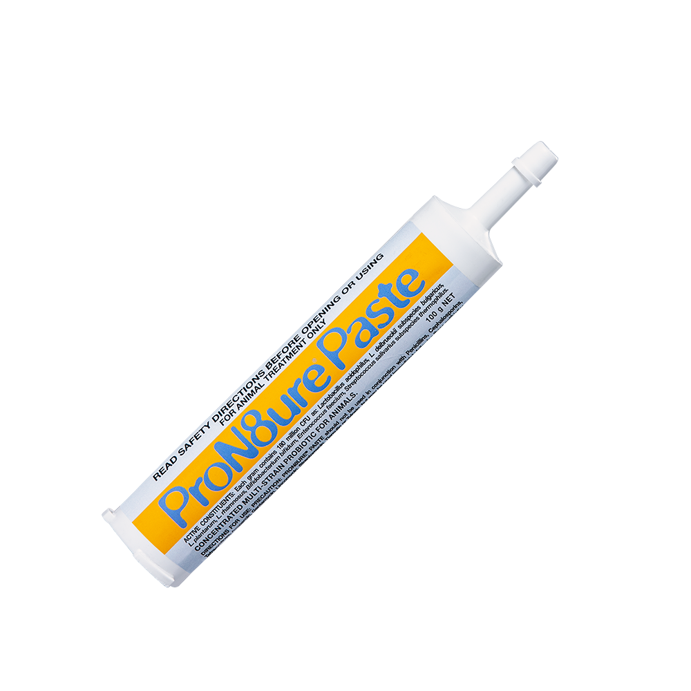 ProN8ure-Paste Horse Probiotic Paste 100gm Syringe