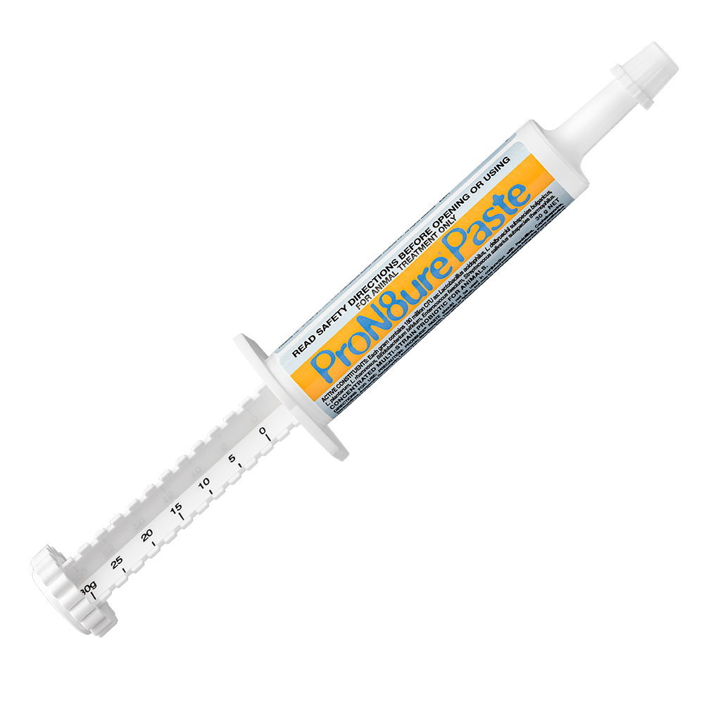 ProN8ure-Paste Horse Probiotic Paste 30g Syringe