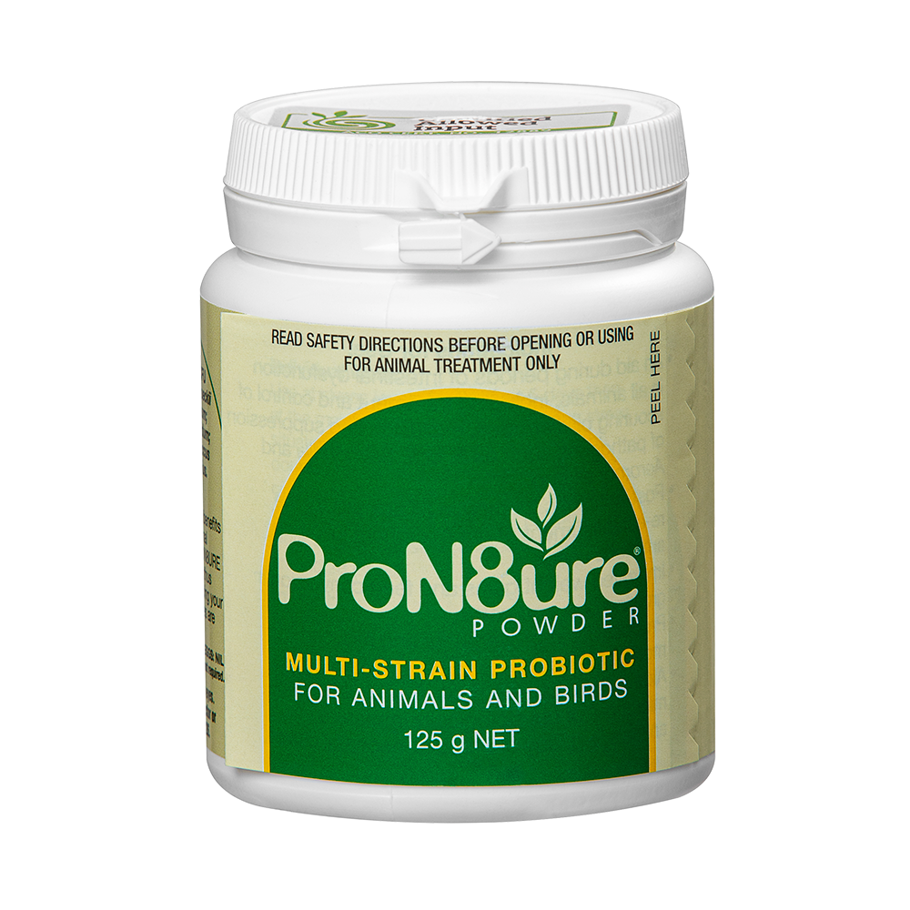 ProN8ure-Powder 125g Horse Probiotic Supplement  Powder
