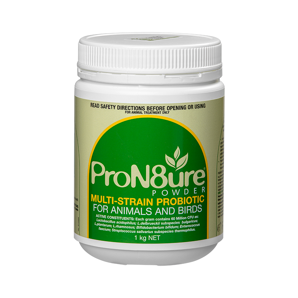 ProN8ure-Powder 1kg Horse Probiotic Supplement  Powder