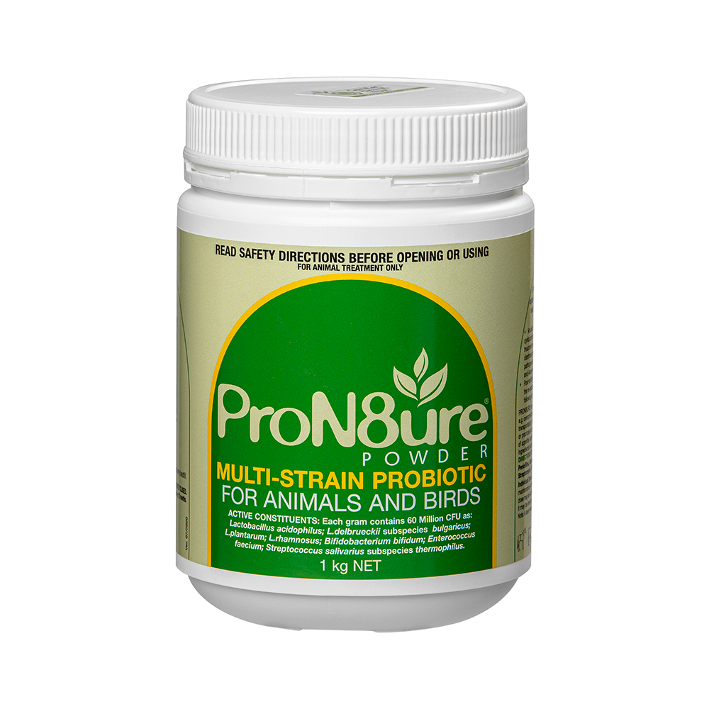 ProN8ure-Powder 1kg Horse Probiotic Supplement Powder