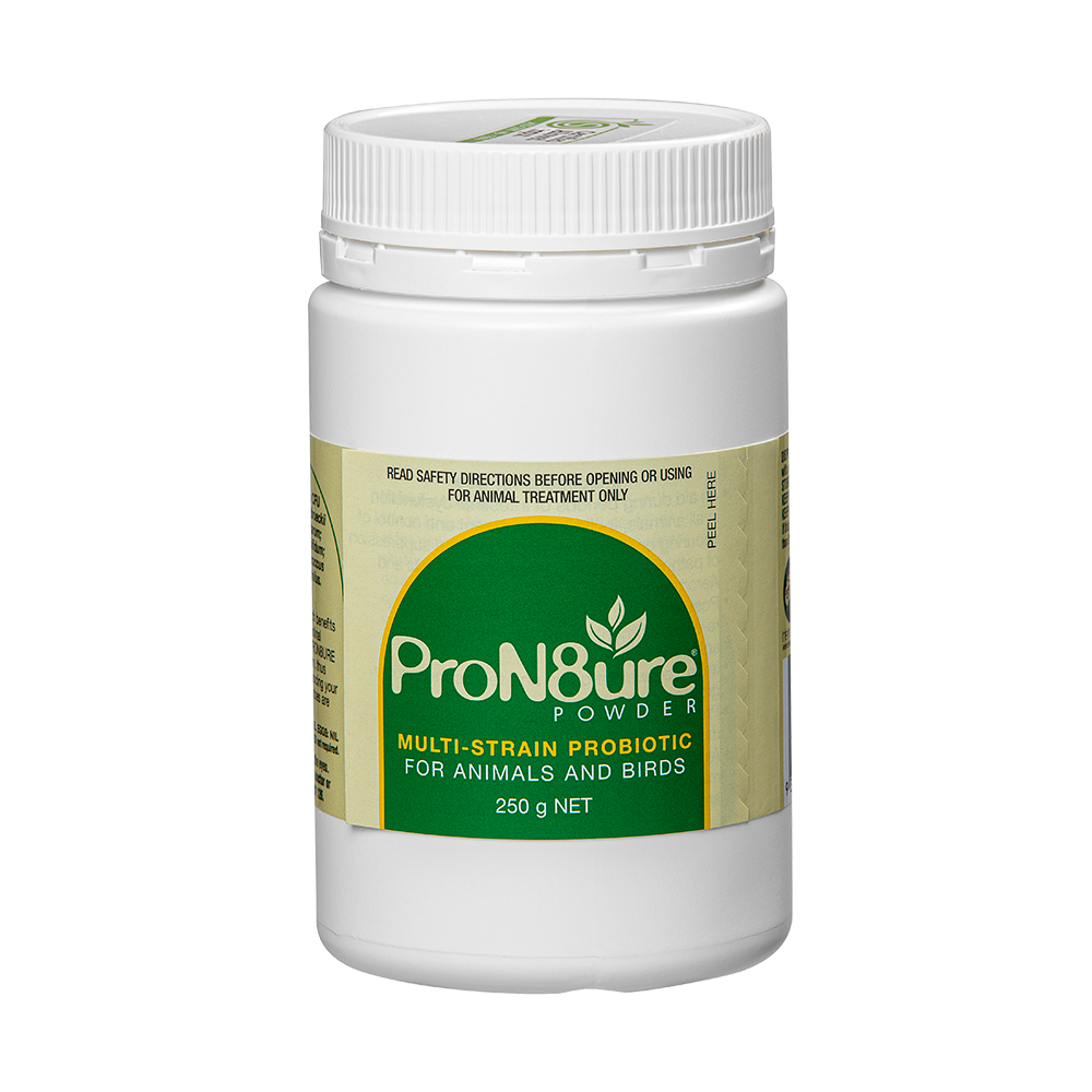 ProN8ure-Powder 250g Horse Probiotic Supplement  Powder