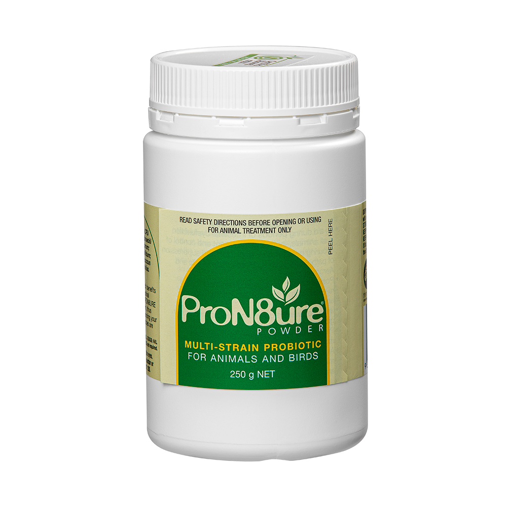 ProN8ure-Powder 250g Horse Probiotic Supplement Powder