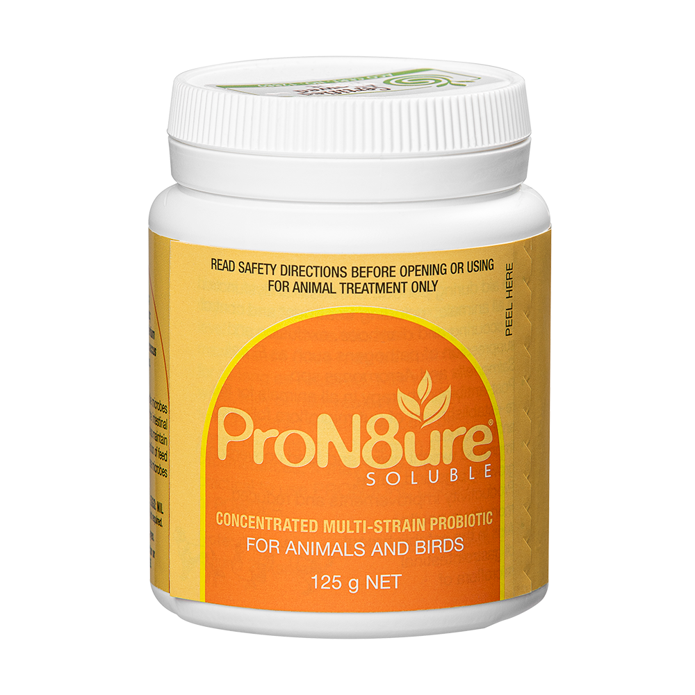 ProN8ure Soluble Multi Strain Probiotic for all animals in 125gm plastic container