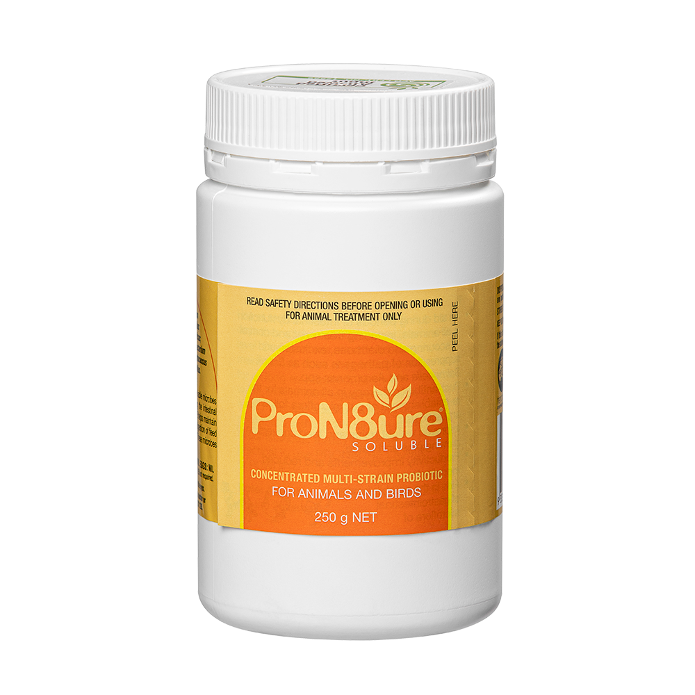 ProN8ure Soluble Multi Strain Probiotic for all animals in 250gm plastic container