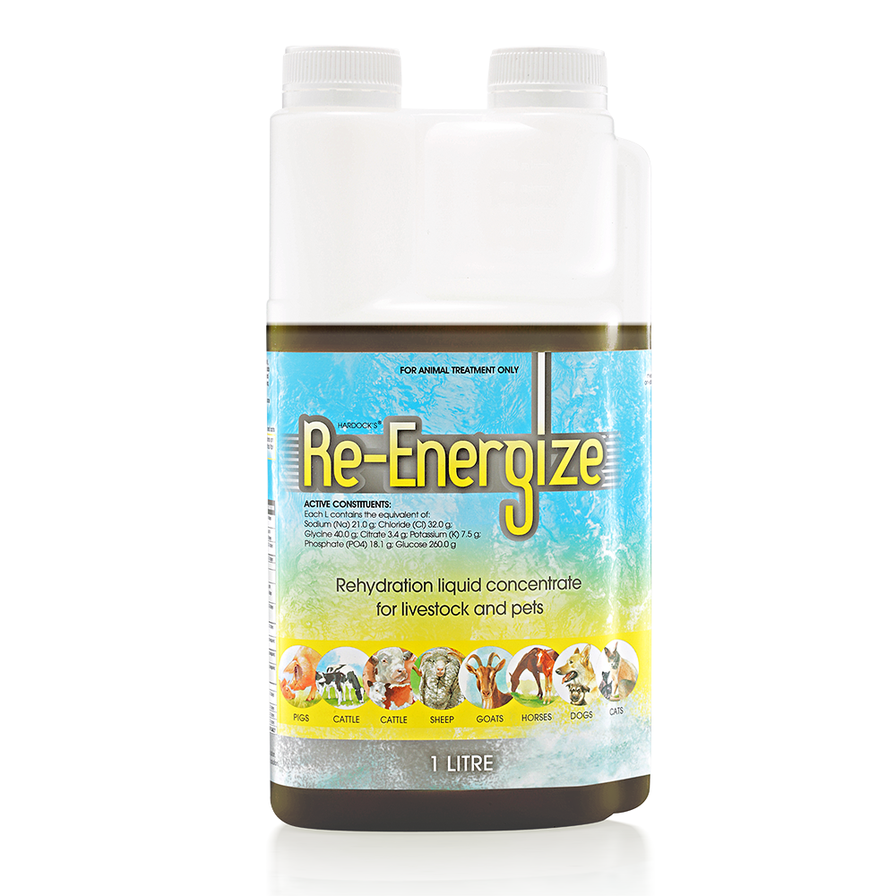 Re-Energize - Livestock & Pet Re-hydration in 1L Liquid Container