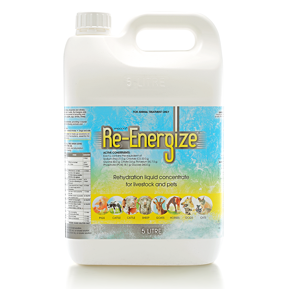 Re-Energize - Livestock & Pet Re-hydration in 5L Liquid Container