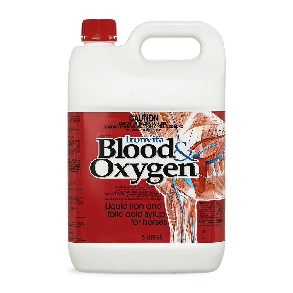 Blood  Oxygen Horse Supplement for Anaemia 5L Container