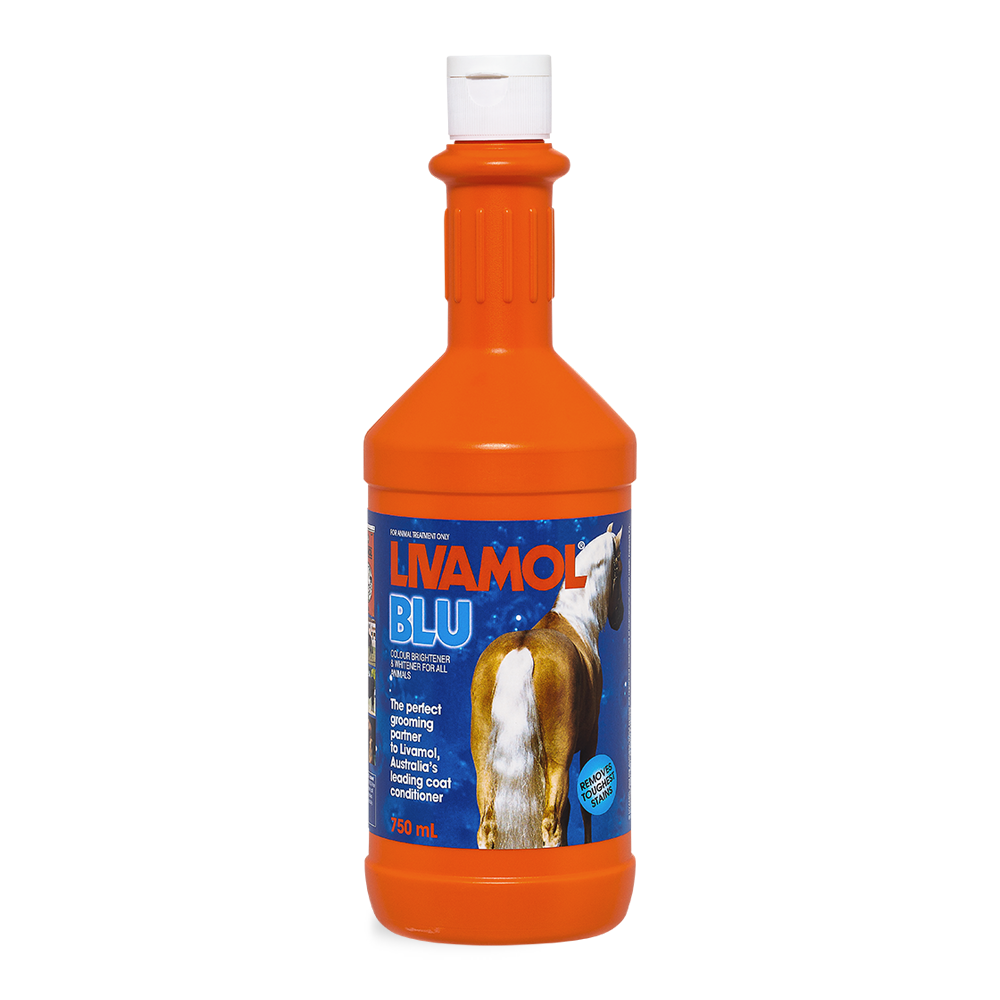 Livamol Blu Horse Coat Supplement Conditioner in Orange Bottle
