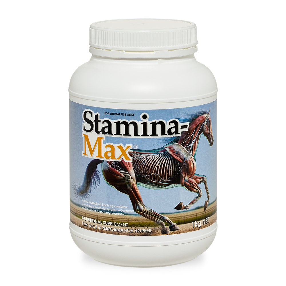 Stamina-Max for horses in 1kg White Container