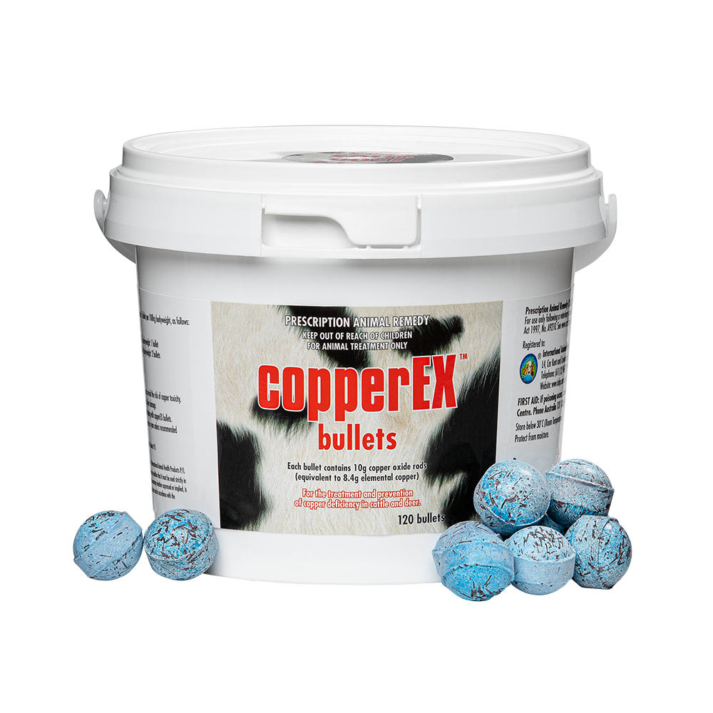 White snap-on bucket with 120 CopperEx Bullets 