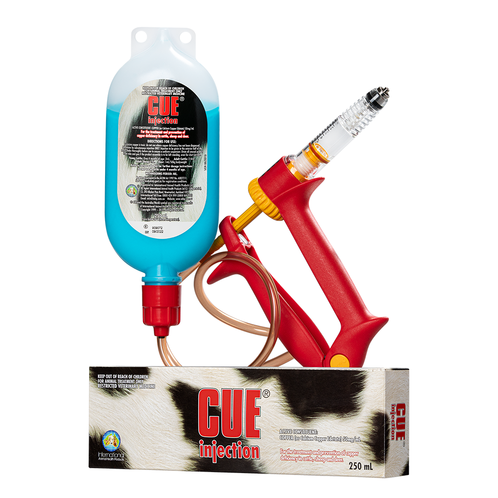 250ml Cue Injection Pack for treatment of copper deficiency