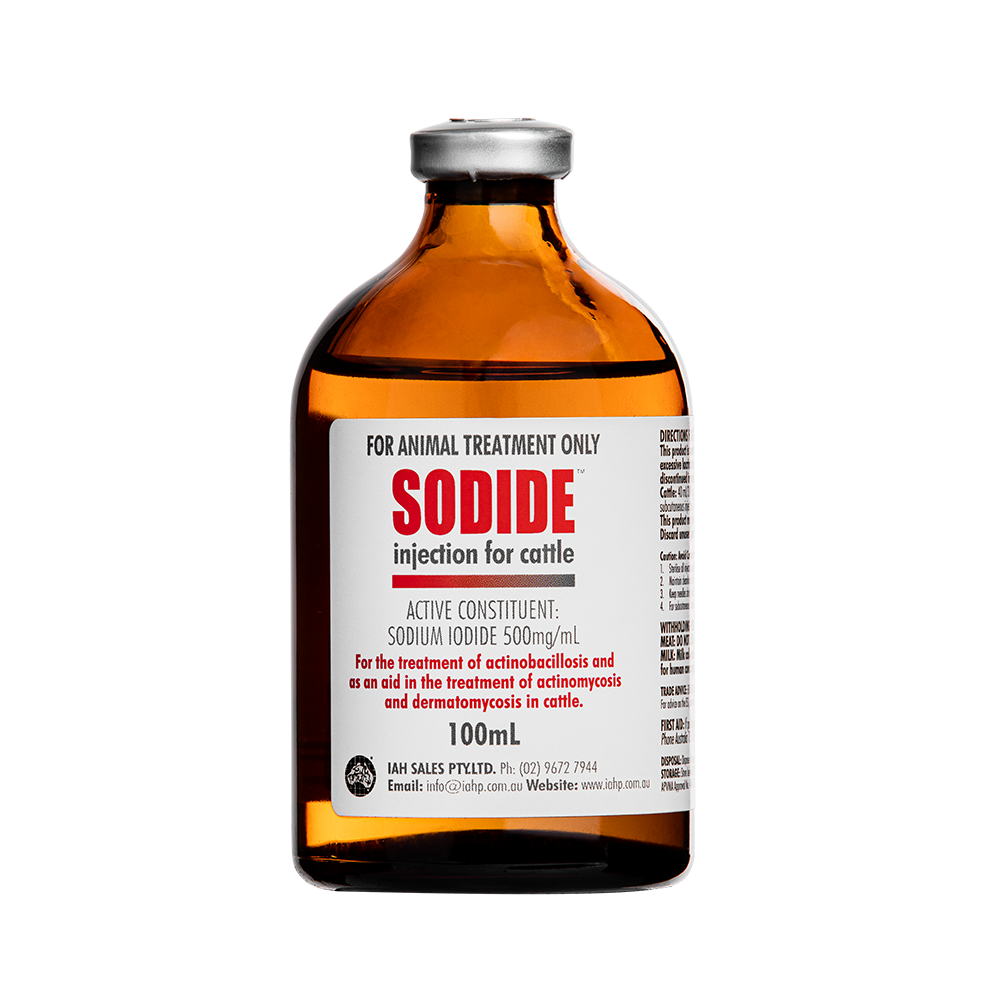 Sodide in 100ml bottle to treat actinomyces in cattle