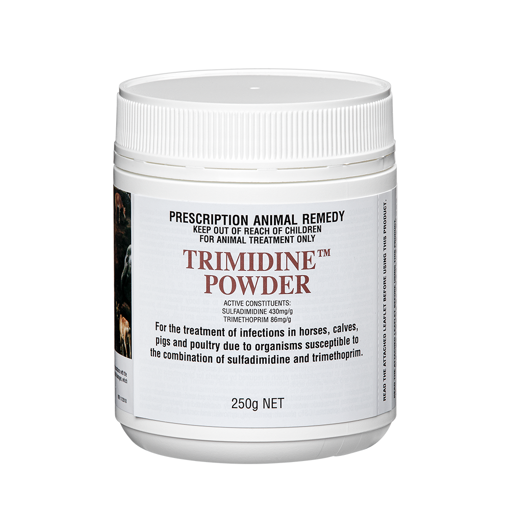 Trimidine Powder in 250g Container