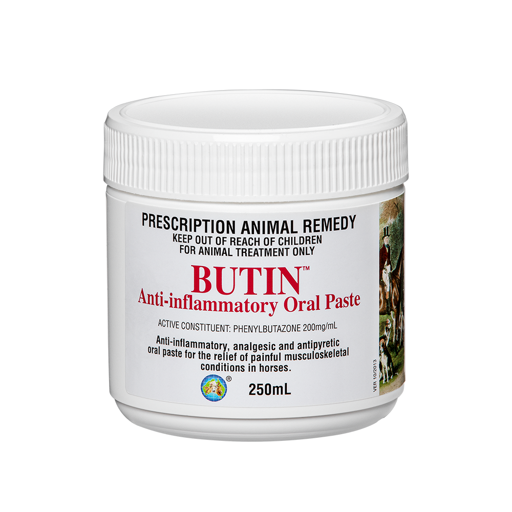 Butin anti-inflammatory oral paste in white 250 ml screw top container